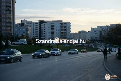 DSC02940